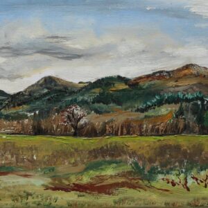 Dalmally Mountains