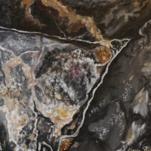 Rockpools 1