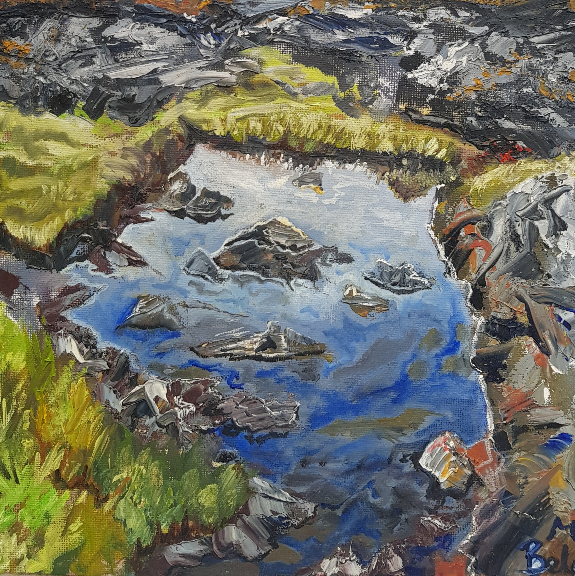 Isle of Mull (Detail)